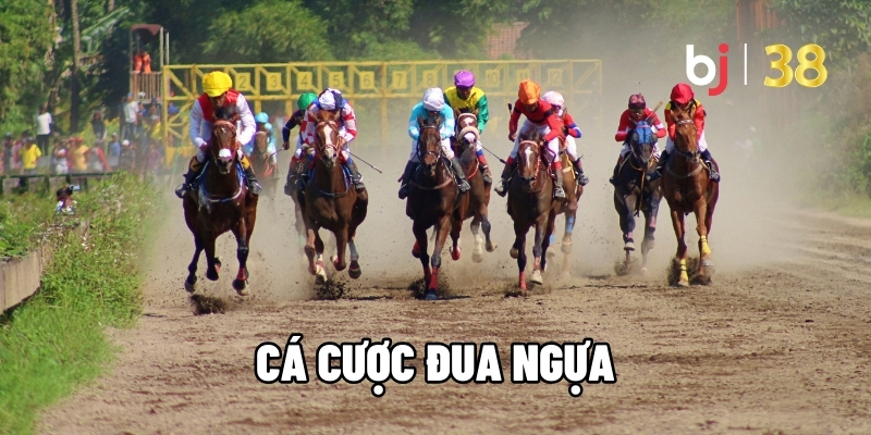 Cá cược đua ngựa